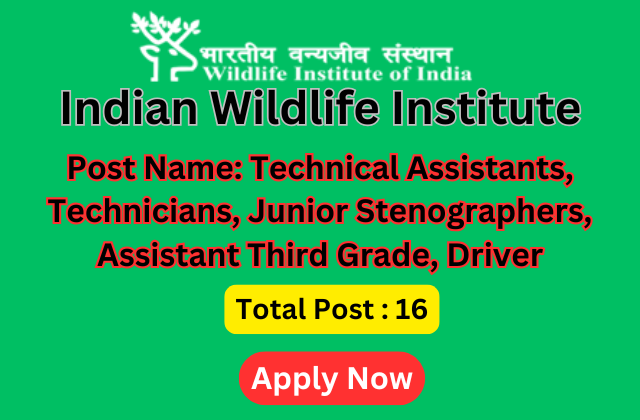 India Wildlife Institute Requirement 2025